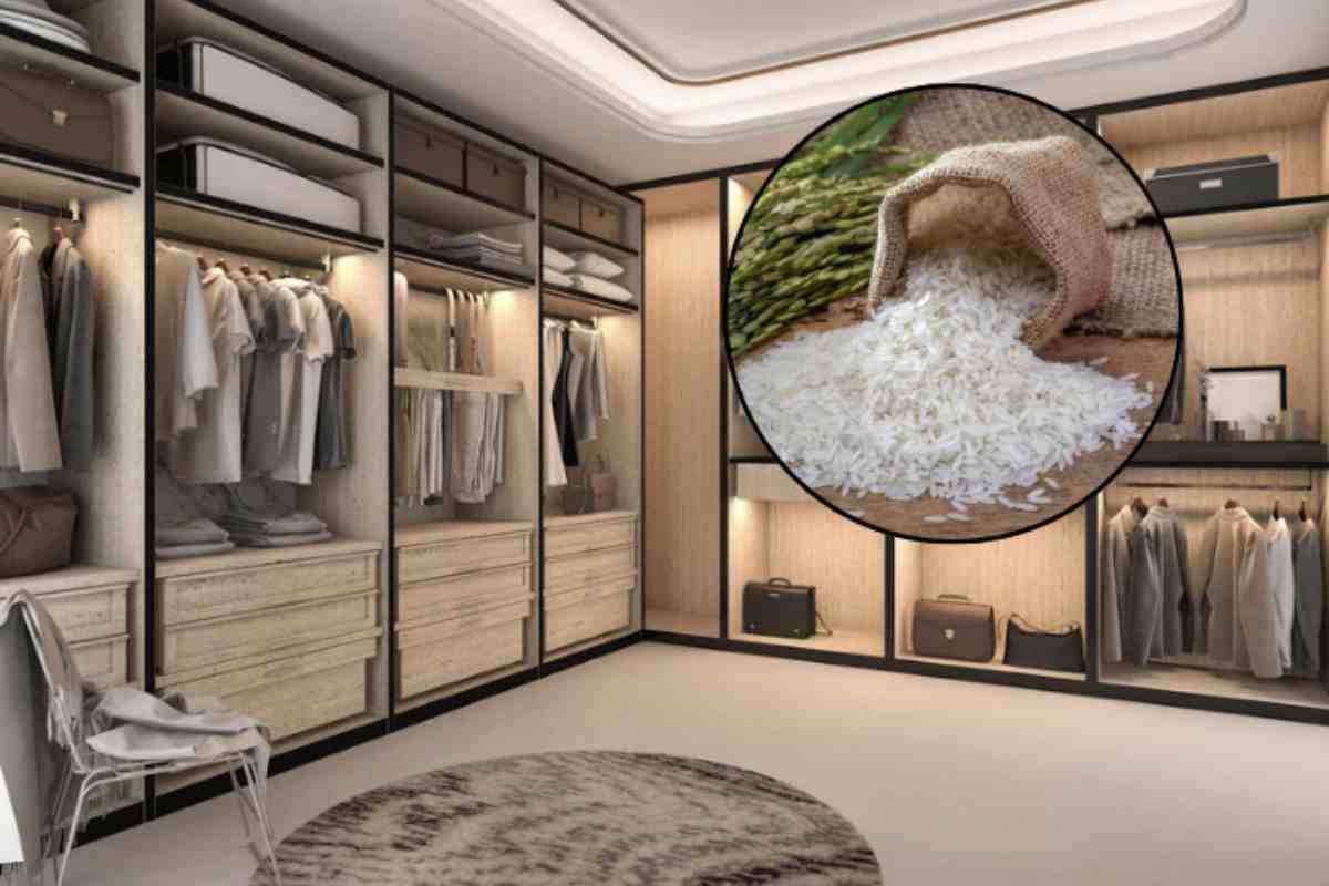 Questo rimedio "della nonna" promette di migliorare l’ambiente interno, proteggendo i tessuti da muffa e cattivi odori, ma quanto è davvero efficace?